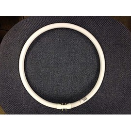 FC40T5/841 02065 40W 2GX13 4100K 12 INCH Diameter CIRCLINE Same AS TL5C40W/840 FC12T5/840