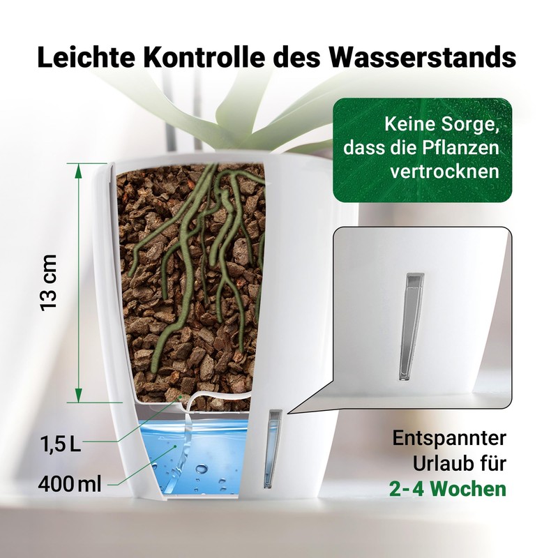 Happy Plants Orchidea Twin 2 Litre - Purple