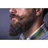 Regrowe Beard Wax Strong Hold - BERGAMOTA - ARGÁN -
