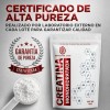 Creatina Monohidratada en Polvo Bonsanté Labs Sin Sabor 400g