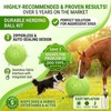 SWYIVY 25-Inch Herding Ball for Dogs with Straps, Giant Horse