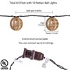 Decorative String Lights Plug in with 10 Incandescent Bulbs, Natural