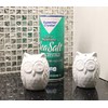 Retro Style Owl Shape Salt & Pepper Shaker Set Kitchen