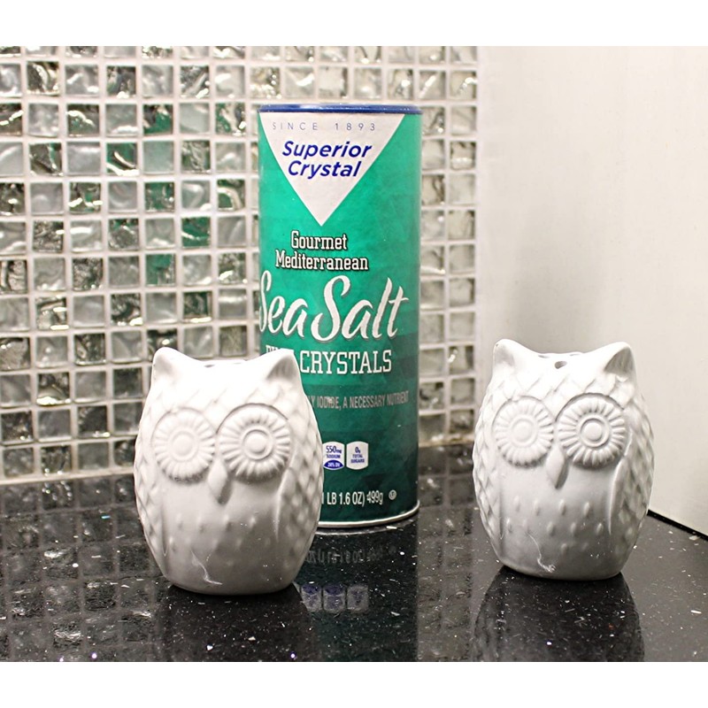 Retro Style Owl Shape Salt & Pepper Shaker Set Kitchen