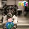 Juguete Dental Para Perro En Forma De Cubo Con Cerdas