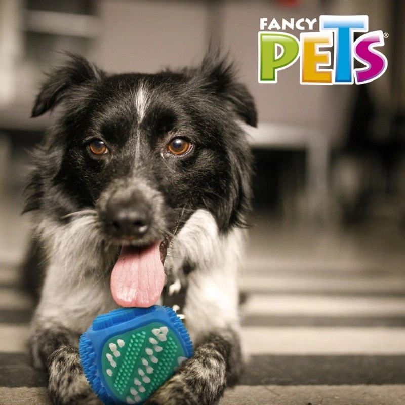 Juguete Dental Para Perro En Forma De Cubo Con Cerdas