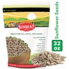 SUNBEST Raw Sunflower Seed Kernels, Unsalted, Unroasted in Resealable Bag