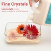 LotFancy LotFancy Silica Gel Flower Drying, 10 LBS Color Indicating