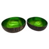 VIE Gourmet Coconut Bowls Hand Painted, Lacquered, Set of 2,