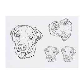 4 x 'Labrador ' Temporary Tattoos - Water Resistant, Skin-Safe, Non-Toxic Transfers, Mixed Sizes (TO00062746)