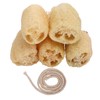 Loofah Dish Sponge, 5 Pack Natural Vegetable Scrubber for Kitchen,
