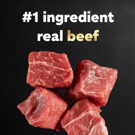 CESAR Small Breed Dry Dog Food Filet Mignon Flavor 5 lb Healthy Nutrition