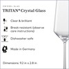 ZWIESEL GLAS Pure Champagne Glass (Set of 2), Champagne Flutes