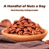 Mountain Walnut Kernels, Pecan Nuts, Nuts Kernels Cream-Flavored, Roasted Pecans