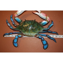 Tropical Coral Reef Sea Life Wall Hangings Seafood Restaurant Crabshack Blue Crab Display, 17 inches