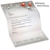 Gala Design 25 Sets Christmas Letter Paper with Envelope without