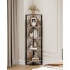 CHOEZON 5-Tier Corner Shelf, Corner Bookcase, 55.2" Tall Vertical Display