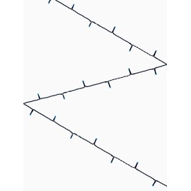 120 Ice White Multi-Function LED Light String