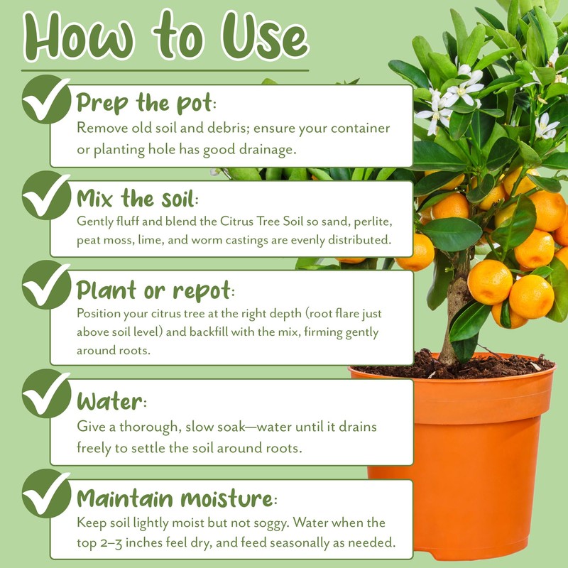 Soil Sunrise Citrus Tree Potting Soil Mix (12 Quarts) Special