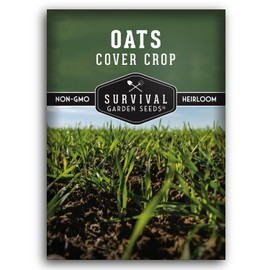 Survival Garden Seeds Oats Cover Crop Seed for Planting - 1 Packet with Instructions to Plant & Grow High Yielding Oats as Cover or Food Crop in Your Vegetable Garden - Non-GMO Heirloom Variety