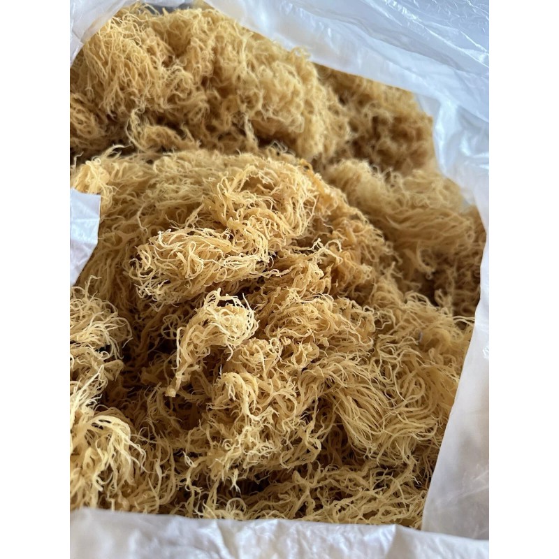 TrueSeaMoss Natural Sea Moss 8oz 100% Wildcrafted Caribbean Seamoss Superfood