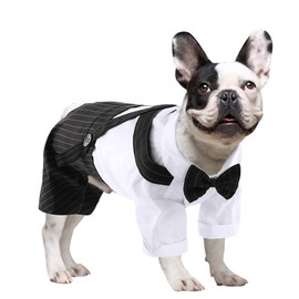 ASENKU Cute Dog Tuxedo for Small Dogs, Handsome Tuxedo for Dogs with Black Bow Tie for Party Birthday Wedding, Beautiful Dog Outfit for Frenchie, Boston Terrier