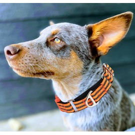 MAOWUWUJOZ Collar Martingala para Perros - Nailon Reflectante Antideslizante con Acolchado cómodo, Resistente y Hebilla de liberación rápida para Entrenamiento, Paseos y tirones sobreexcitados, Color