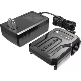Greenworks 24V Genuine Compact Battery Charger 2978602 24 volts + owner's manual