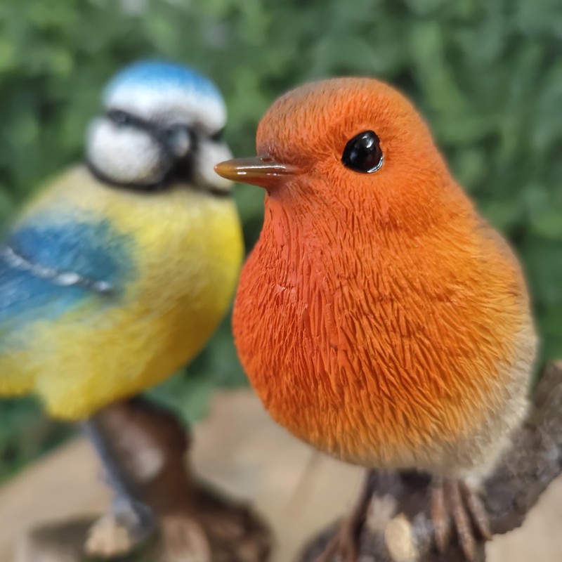 Vivid Arts - British Birds Robin & Blue Tit Home