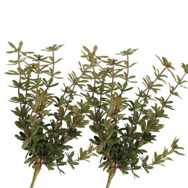 Shirfloral Artificial Faux Outdoor Outside Flowers Plants, 2 pcs Fake Purslane Plant Look Real Portulaca Oleracea, Edible Plant for Planter Front Door Porch Patio Balcony Decoration