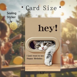 FSSDAS Funny Cat Birthday Card for Man Woman, Cat Lovers Birthday Gifts Card Ideal, HEY! I Just Want to Say Happy Birthday Suitable for All Ages