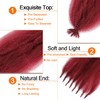 Burgundy Springy Afro Twist Hair 24 Inch 6 Packs Burg