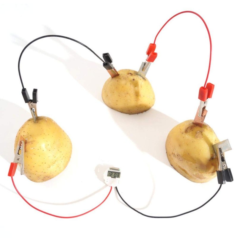 Bio Energy Science Kit Kids Learning Fun Potato Electricity Experiments