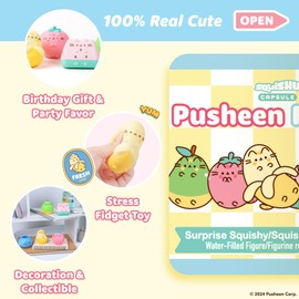Hamee Pusheen The Cat [Surprise Blind Capsule] [Fruits Series] Cute Water Filled Squishy Toy [Birthday Gift Bags, Party Favors, Gift Basket Filler, Stress Relief Toys] (Assorted - 2 Pc.)