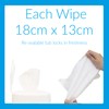 AF Screen and Multipurpose Cleaning Wipes - 100 Wet Wipes
