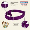 Country Brook Petz Martingale Dog Collar - Heavy-Duty Training Collar