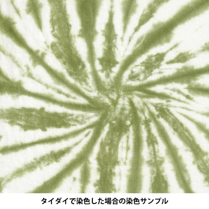 PAC FABRIC DYE Textile Dye col.41 Spring Green Limited Color