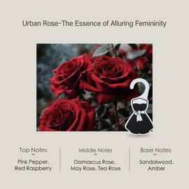 Lunaloved Large 3 Packs Scents Premium Urban Rose Scented Sachets for Drawers, Closets and Cars, Lovely Fresh Fragrance, Make Your Clothes Smell Good.Nice Home Fragrance Sachet, Air Freshener