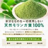Moringa Supplement, Organic Moringa, 135,000 mg (1 Bag), 540 Tablets,