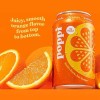 Poppi Orange Flavor, 12 oz, Pack of 12, Sparkling Prebiotic