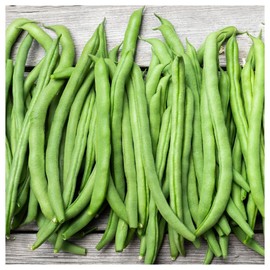 Everwilde Farms - 1 Lb Blue Lake Pole Pole Bean Seeds - Gold Vault