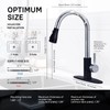 WEWE Kitchen Sink Faucet, Pull Down Kitchen Faucet, Black and