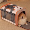 Patazone Small Dogs Carrier for Puppies Cats Carrier Softsided Pets
