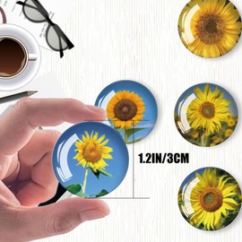 Strong Glass Refrigerator Stickers,12Pcs Magnets for Fridge,Funny Fridge Magnet Shape,Cute Small Tiny Magnet for Kitchen Whiteboard Door Decorative (Sunflower Refrigerator Stickers)