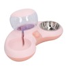 Double Cat Bowls Pet Food and Water Bowl Set Tilted
