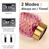 Ecleng 2 Pack Small Battery Operated Lamp with Timer,Cordless Glass