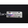 Castle Enterprise Japanese Souvenir Keychain (License Plate Mt.FUJI)