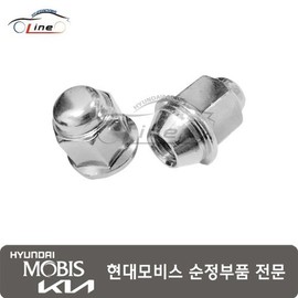 Hyundai Mobis Nut Hub 52950 3K000 / 너트 허브 52950 3K000