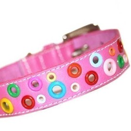 The Cool Puppy Loki Puppy Leather Dog Collar - Punk Pink Large (12-14 inches)