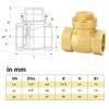 nutmanel Check Valve Female Thread Brass Check Valve 3/4 Inch